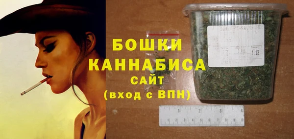 прущие грибы Арсеньев