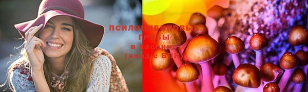 гидропоника Армянск