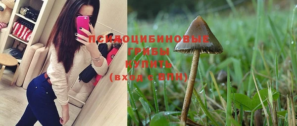 прущие грибы Арсеньев