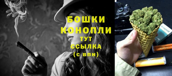 дживик Аркадак