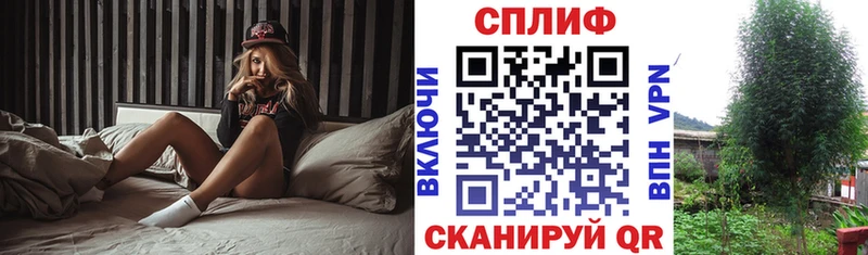 где найти   Мосальск  Каннабис THC 21% 