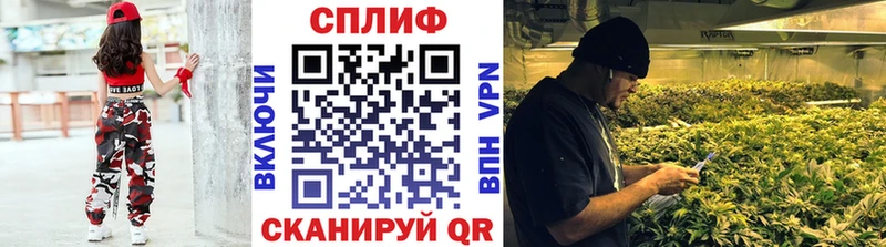Бошки марихуана OG Kush Мосальск